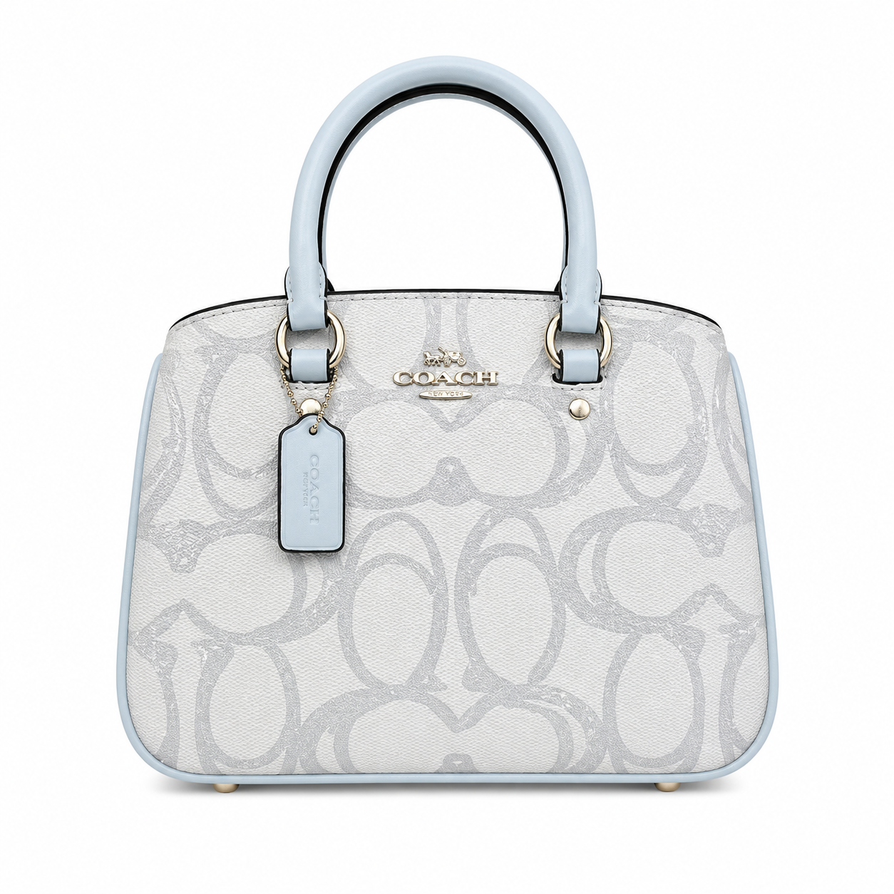 Coach luxury bag