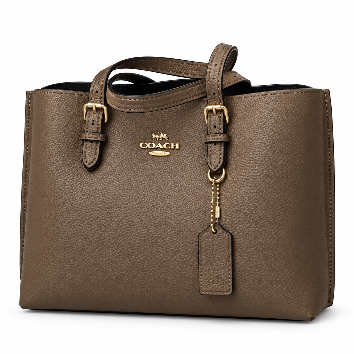 Coach Mollie Tote Bag 25
