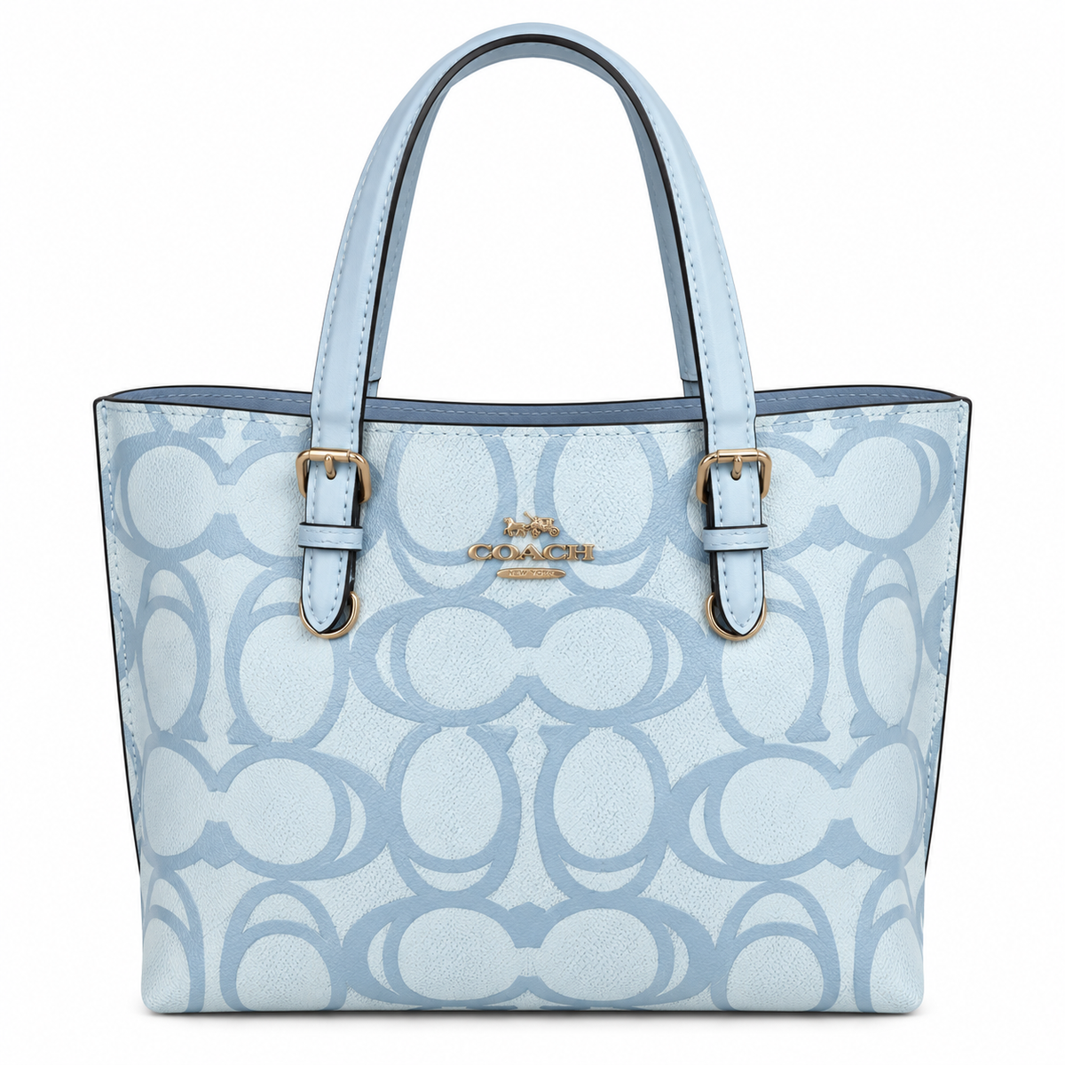 Coach bag luxury women