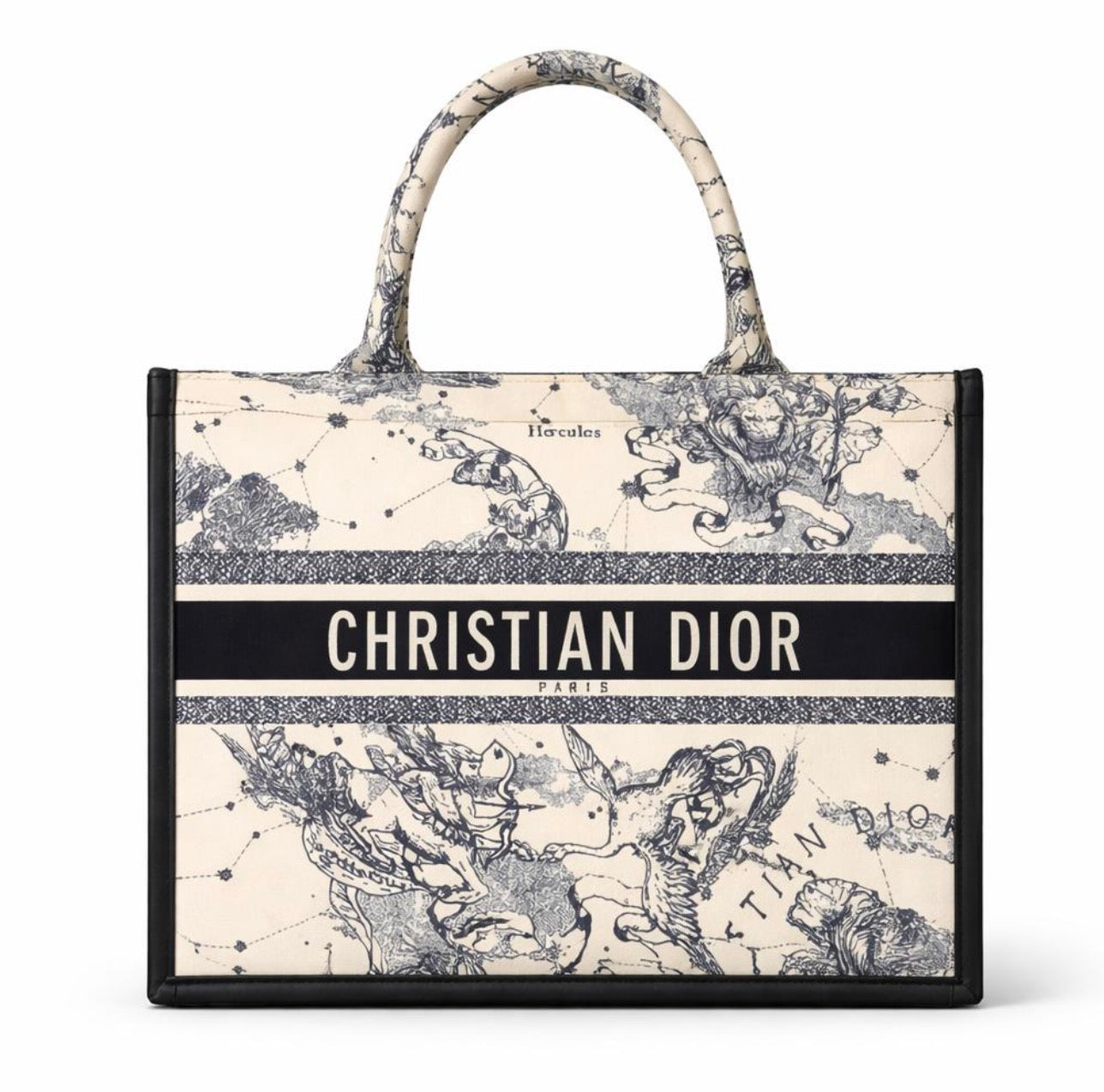 Christian Dior Luxury bag (r)