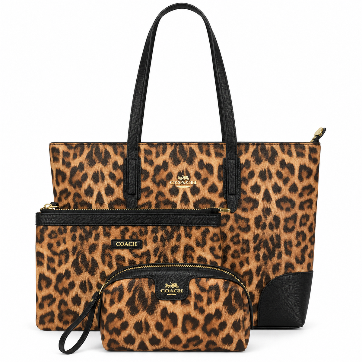Coach Outlet City Tote 3 psc