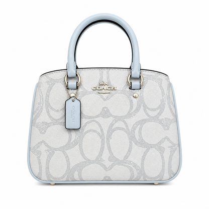Coach luxury bag