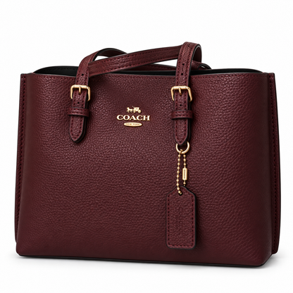Coach Mollie Tote Bag 25