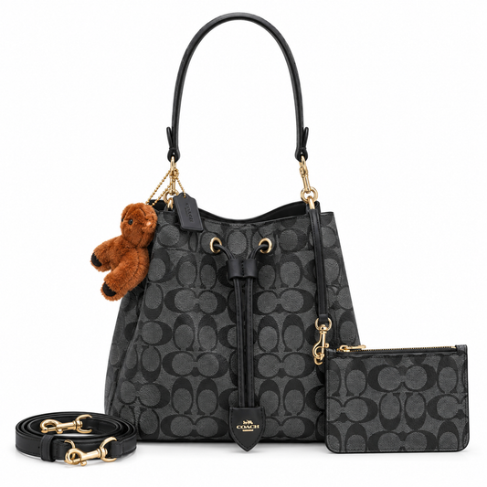 Coach bag luxury women