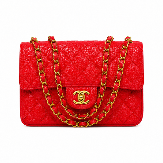 Chanel luxury bag (r)