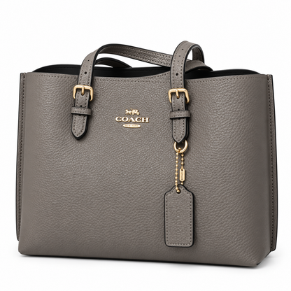 Coach Mollie Tote Bag 25