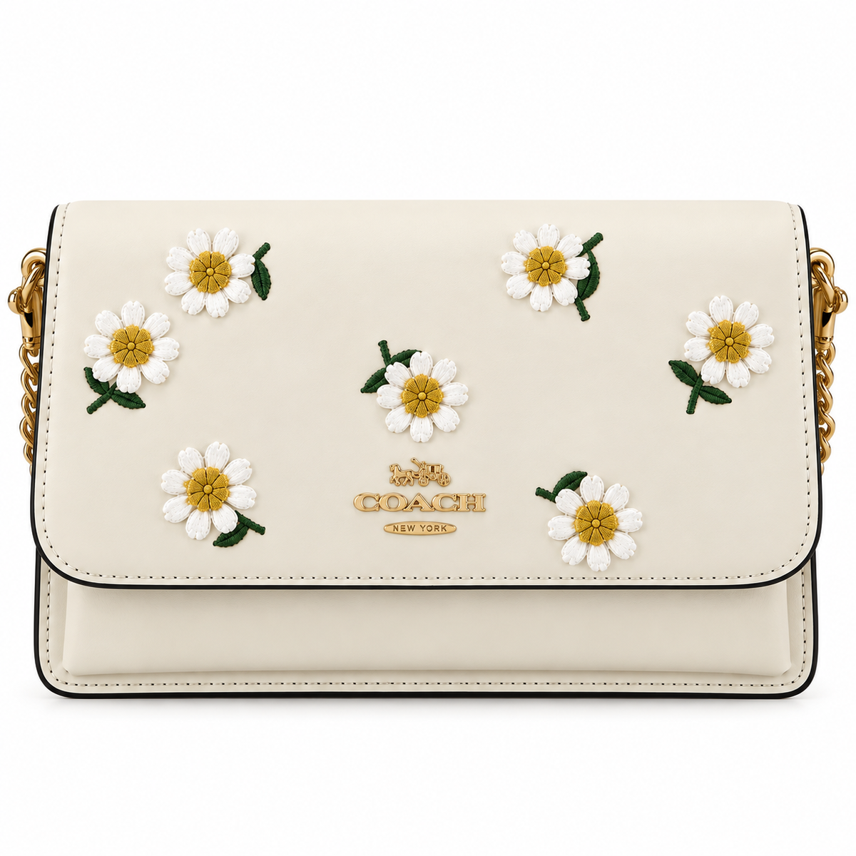 Coach luxury women bag
