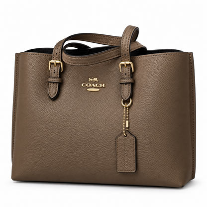 Coach Mollie Tote Bag 25