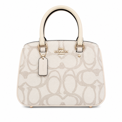 Coach luxury bag
