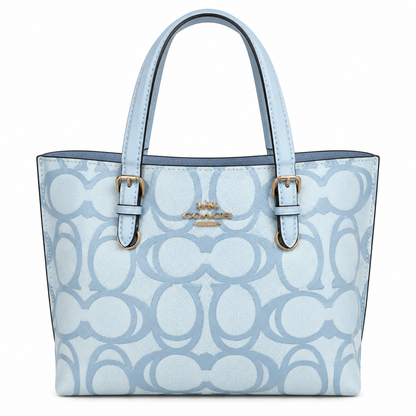 Coach bag luxury women