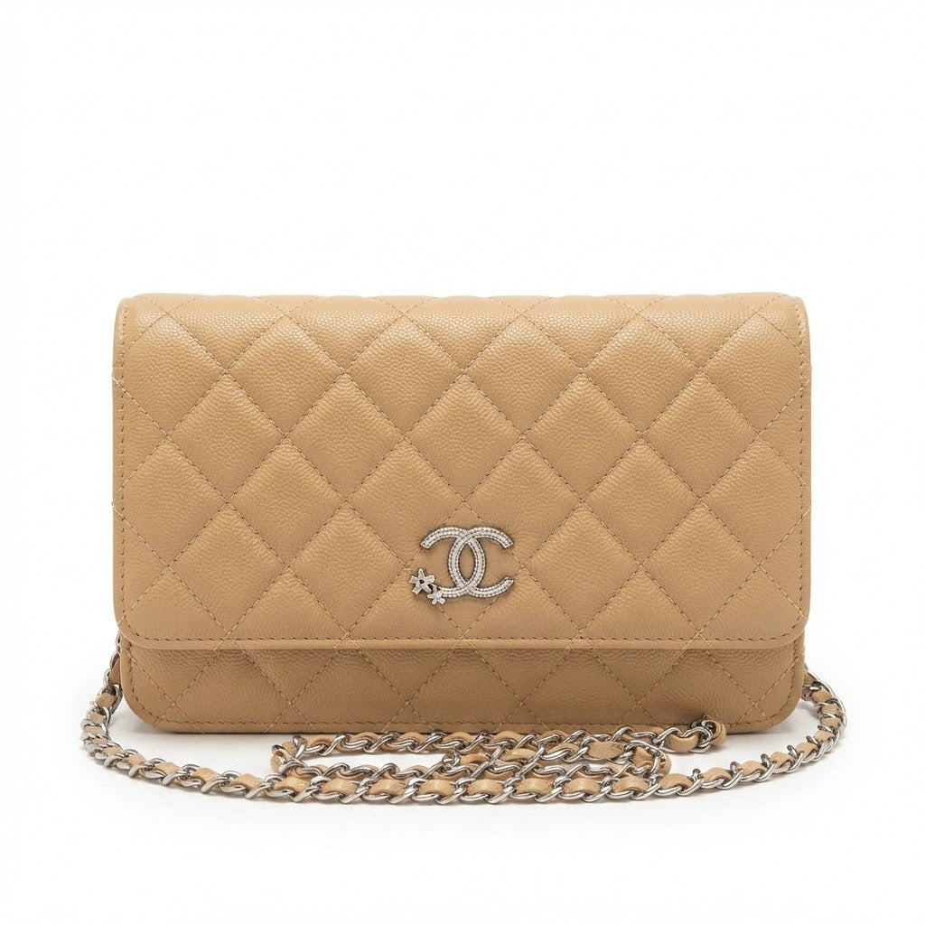 Chanel bag