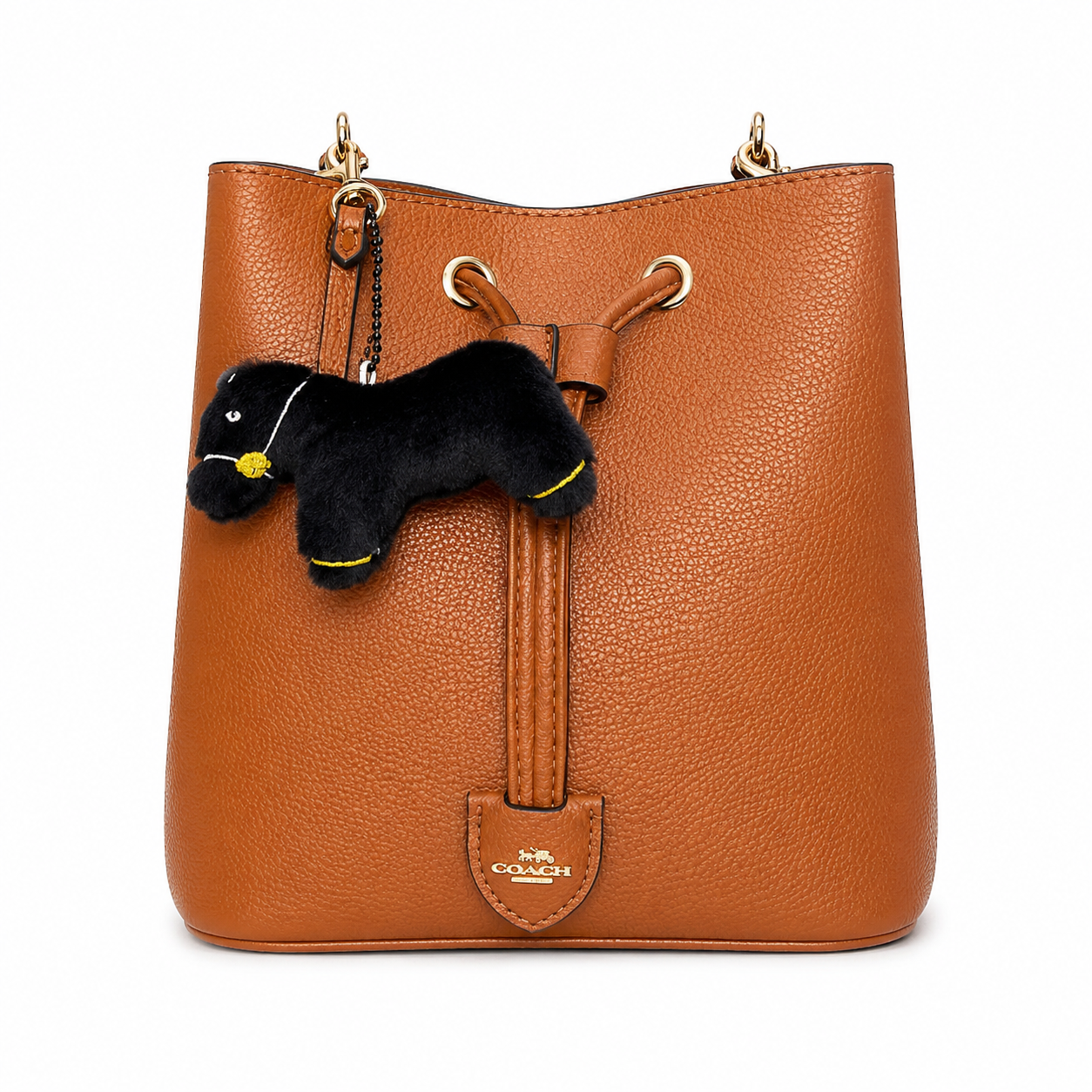 Coash bag