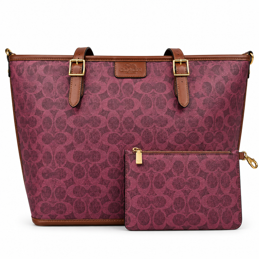 Coach luxury bag