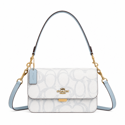 Coach luxury bag