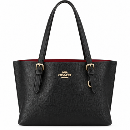 Coach luxury bag
