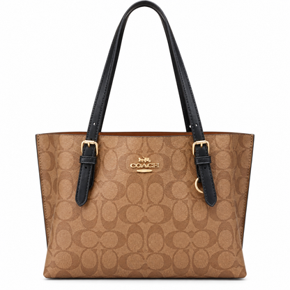 Coach luxury bag